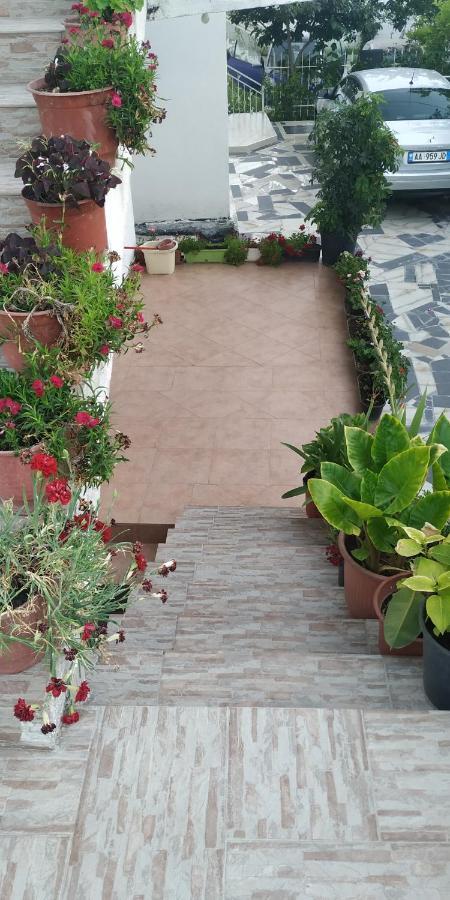 Spacious House With A Big Garden And Fire Pit Villa Tirana Exterior foto