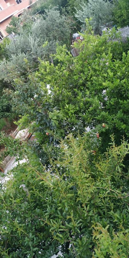 Spacious House With A Big Garden And Fire Pit Villa Tirana Exterior foto